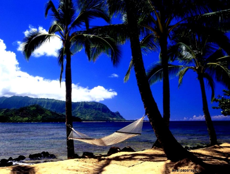 Free Hawaii Desktop Wallpapers   Wallpaper Cave