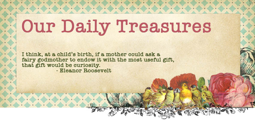 Our Daily Treasures