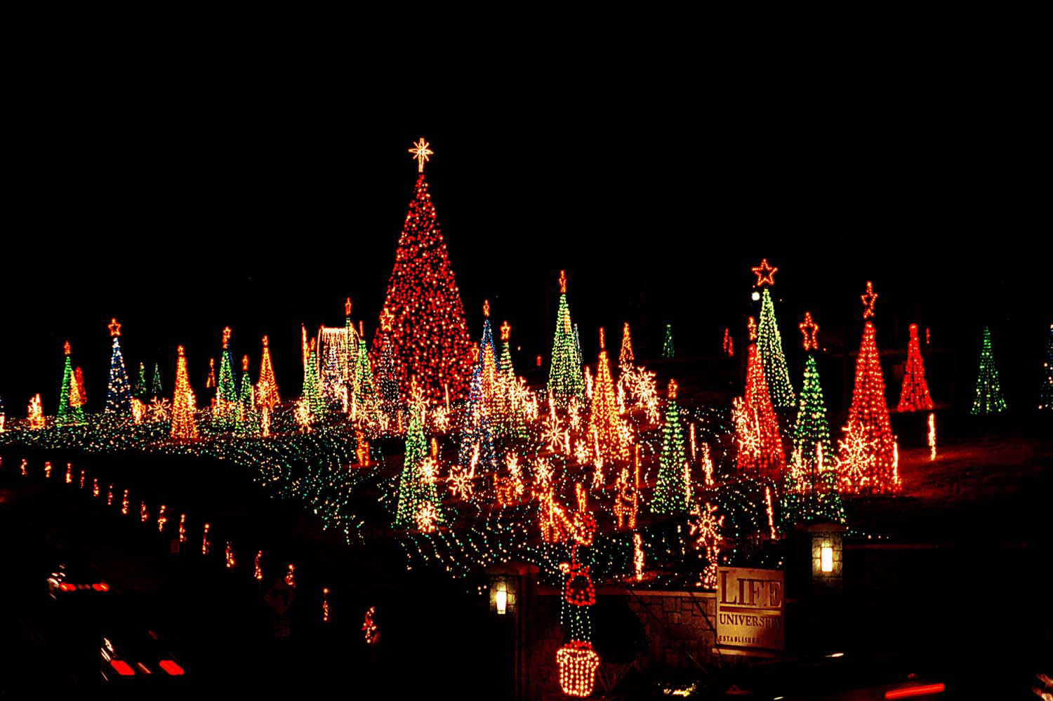 The Coupon Tutor Lights of Life in Marietta 5 date night