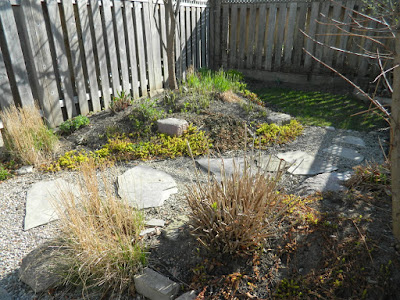 Coxwell Danforth backyard garden renovation before Paul Jung Gardening Services Toronto