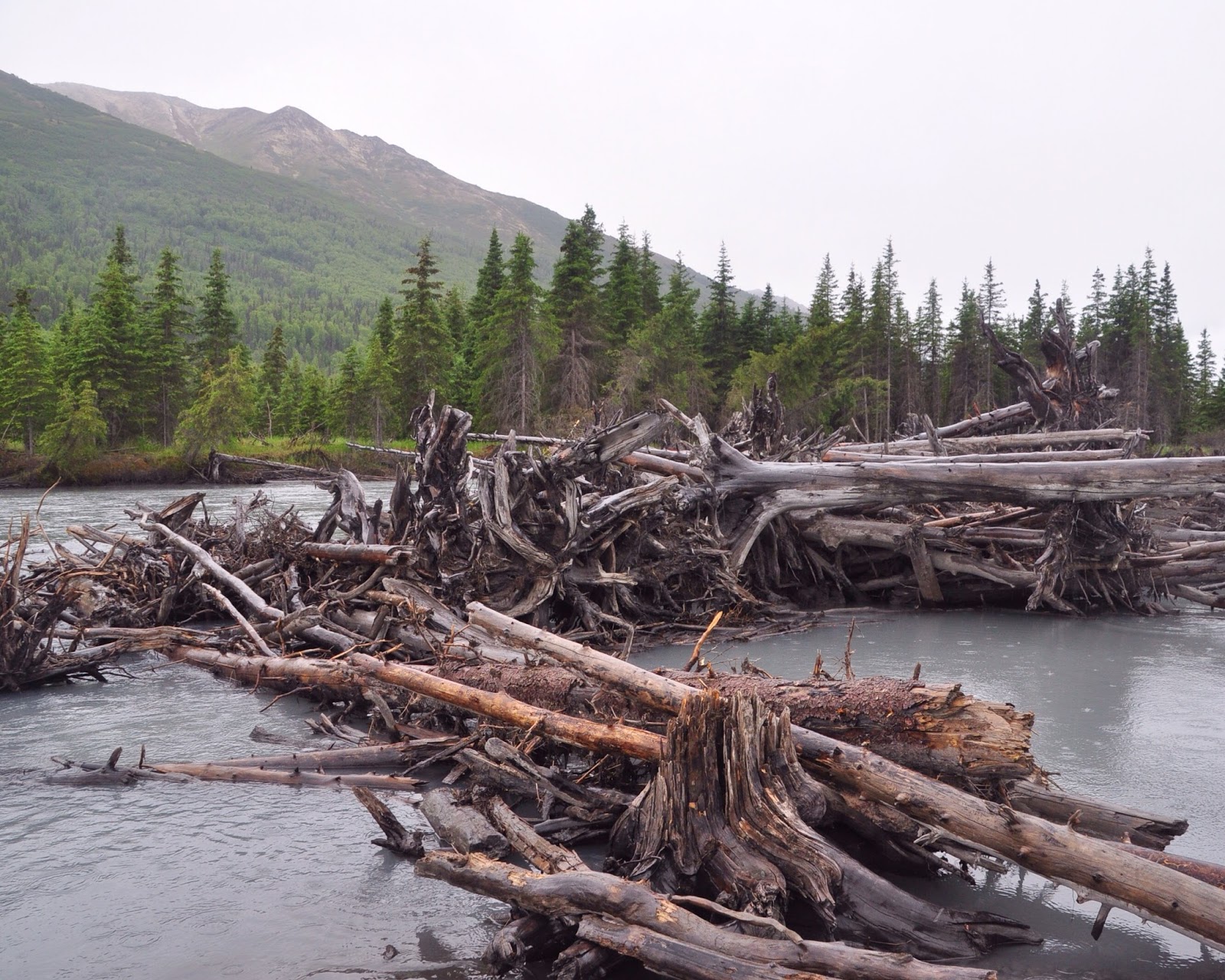 Heart Alaska: North Fork Eagle River Trail