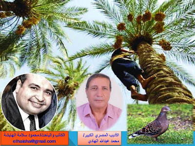 صورة
