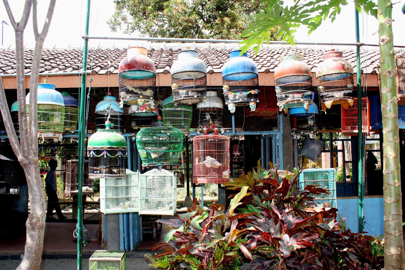 Peta Pasar Burung Pramuka  Pasar  Grosir CIPULIR Jakarta