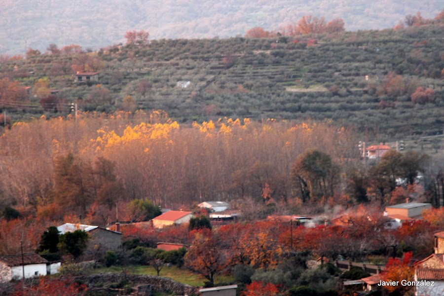 Cáceres. Hervás. Maravillosos colores de otoño. Beautiful colors of autumn.