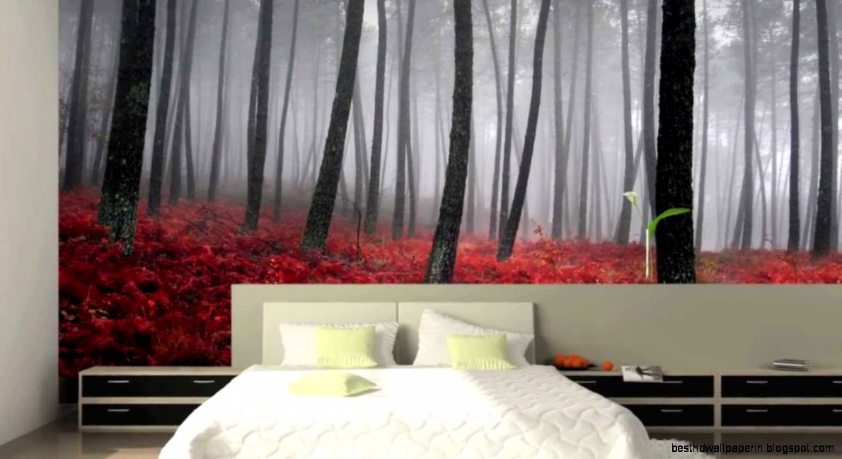 Wall Murals Wallpaper Murals Custom Murals      HD