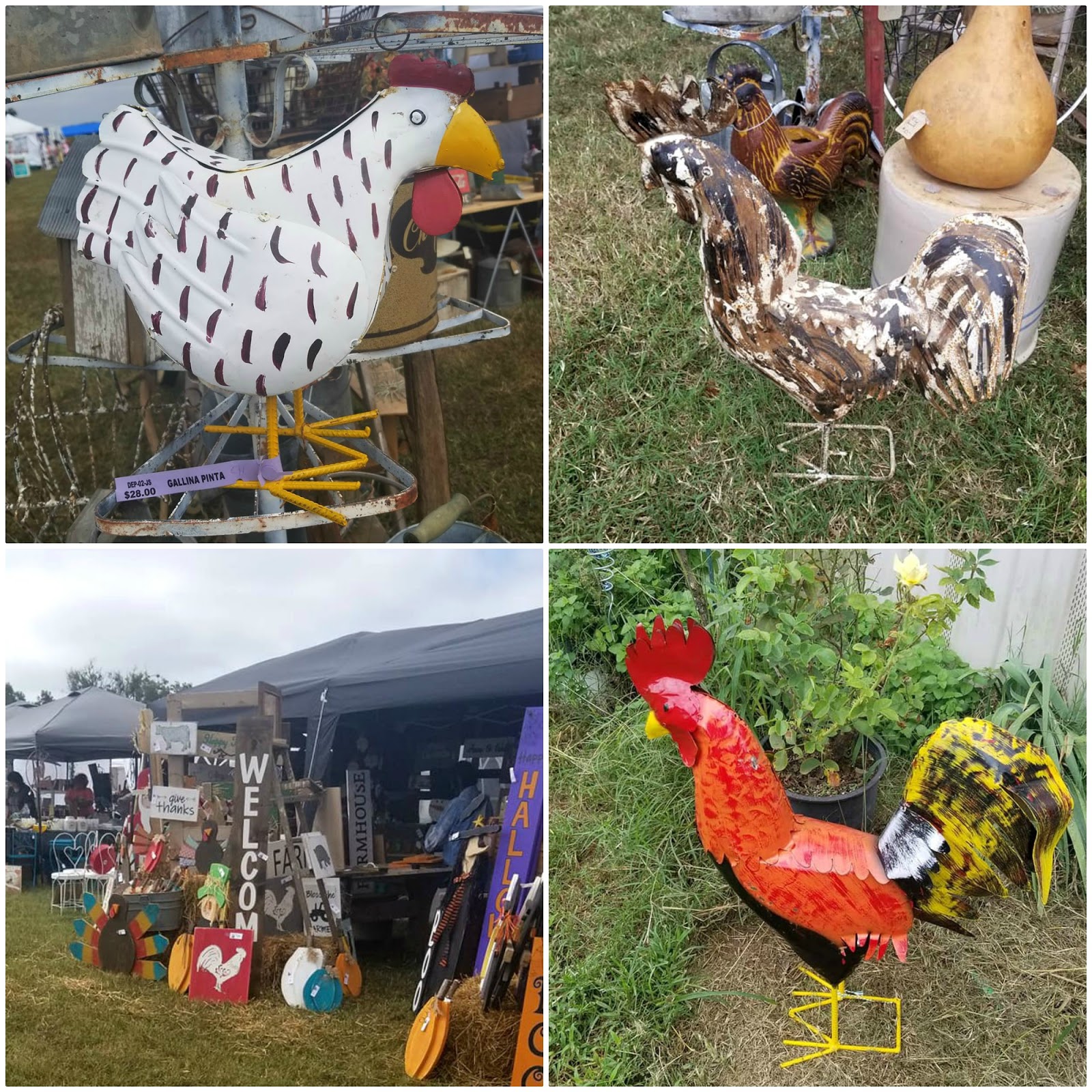 Great Gift Ideas For The Chicken Keeper In Your Life Oak Hill