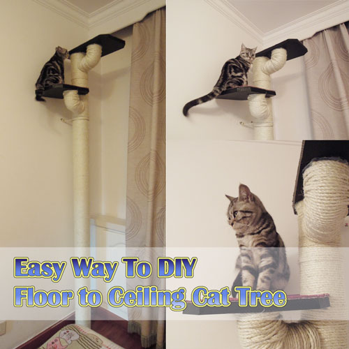 Meow Cat Com Diy Floor To Ceiling Cat Tree