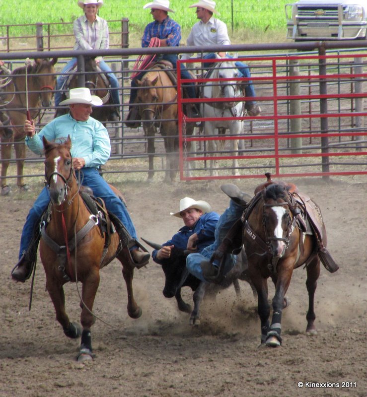 kinexxions RoeDeeOh Steer Wrestling