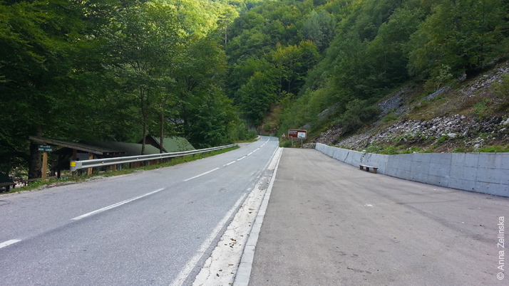 Дорога в лесах, Черногория