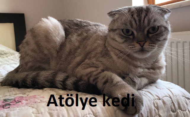 Atölye Kedi Cumadan Pazara…