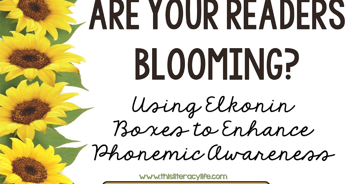 Blooming Young Readers Using Elkonin Boxes This Literacy Life