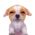 baipak.blogspot.com.bye.009.gif