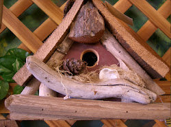 bird mortgage seaside taken ok say theme