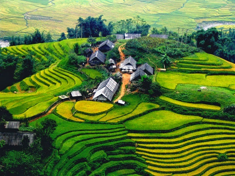 Wah Lihat Deh pemandangan sawah di vietnam yang sangat indah ini
