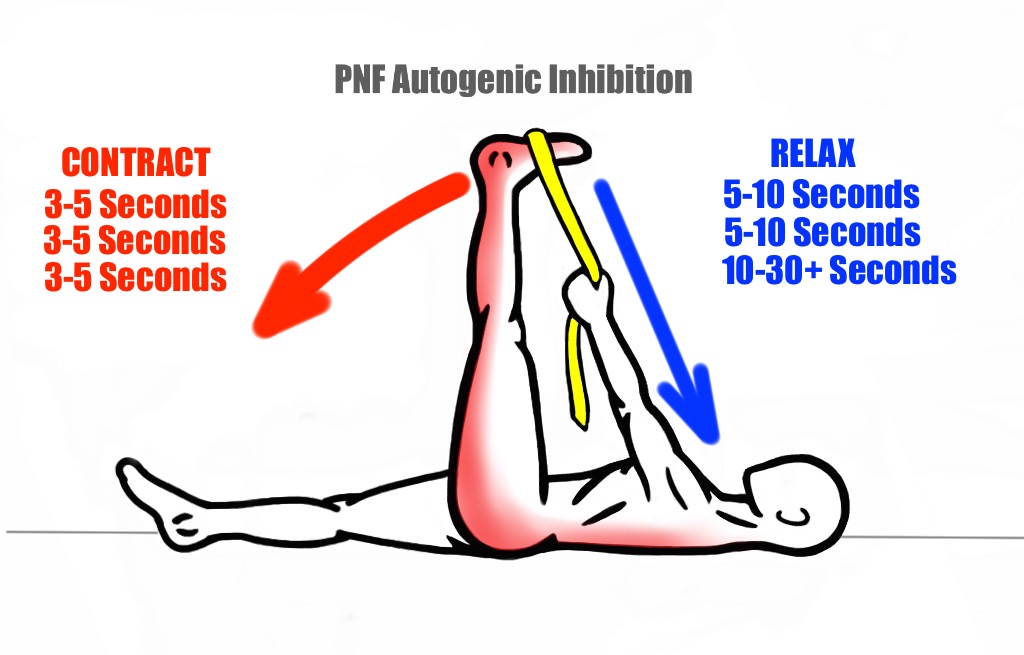Total Athletic Therapy Mobility Monday PNF, High Posterior Chain