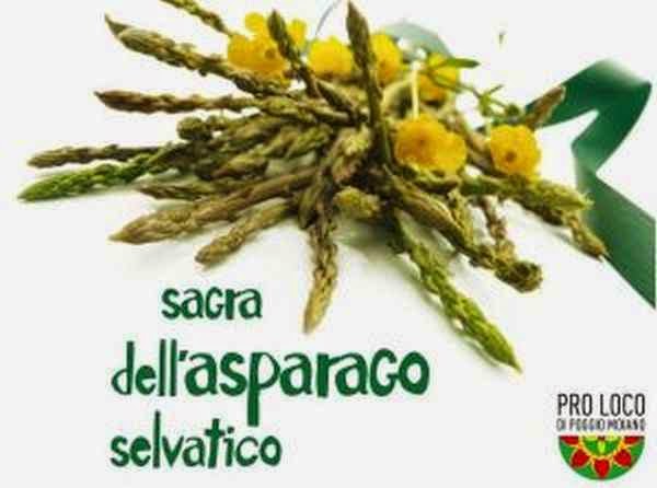 9° sagra dell'asparago selvatico poggio moiano (rm) 10-11/05/14