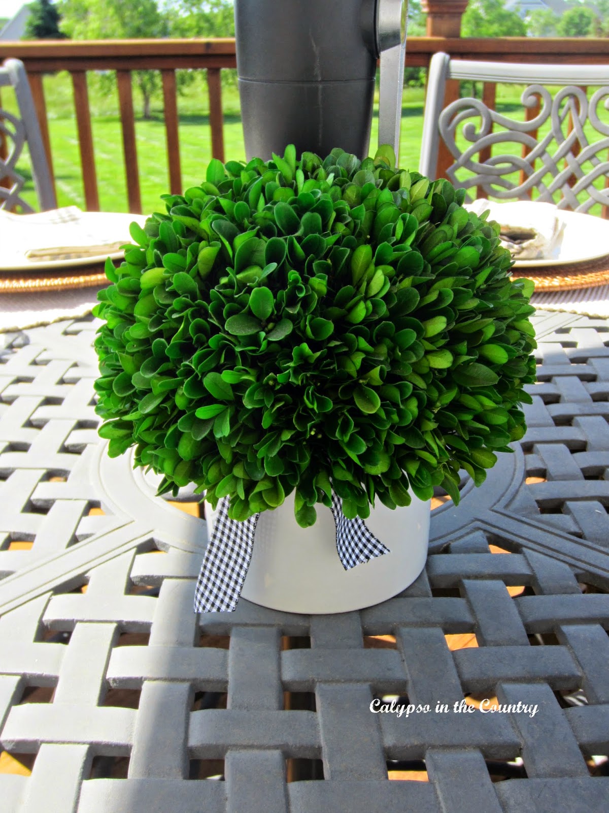 Preserved Boxwood Preserved Boxwood - a simple centerpiece