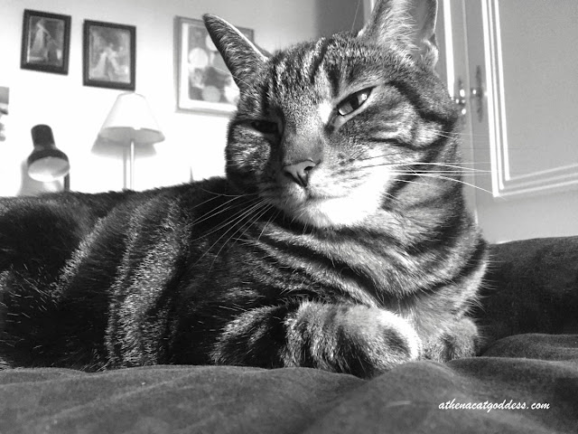 Black and White Sunday Selfie