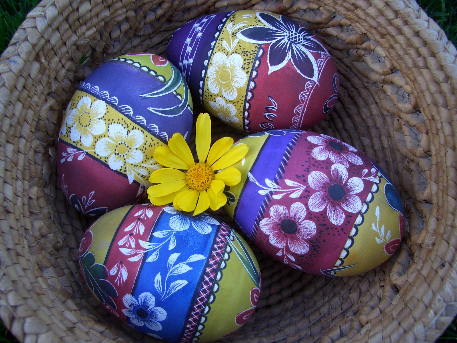 Egg Display Ideas