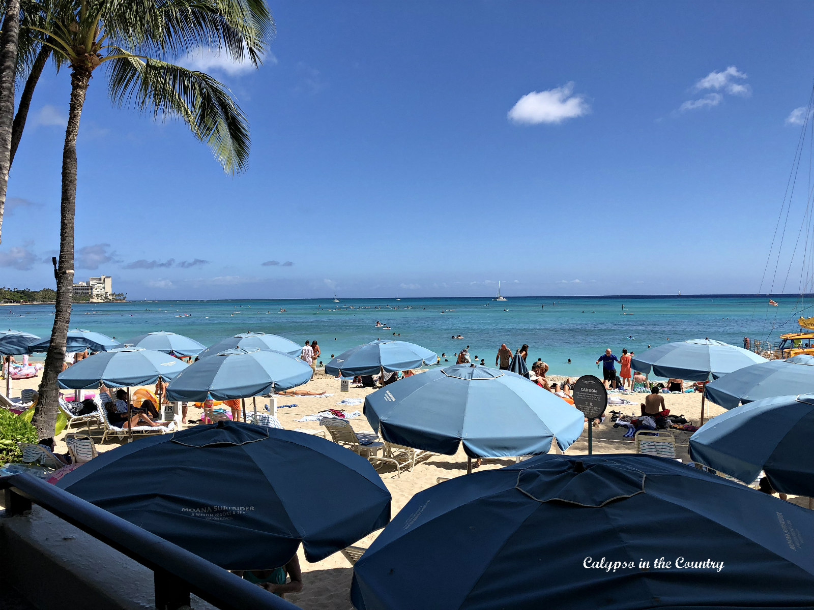 Umbrellas on Waikiki Beach