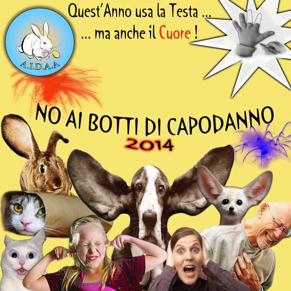 ASSOCIAZIONE ITALIANA DIFESA ANIMALI ED AMBIENTE AIDAA NO AI BOTTI DI CAPODANNO 2014... ASSOCIAZIONE ITALIANA DIFESA ANIMALI ED AMBIENTE AIDAA NO AI BOTTI DI CAPODANNO 2014...