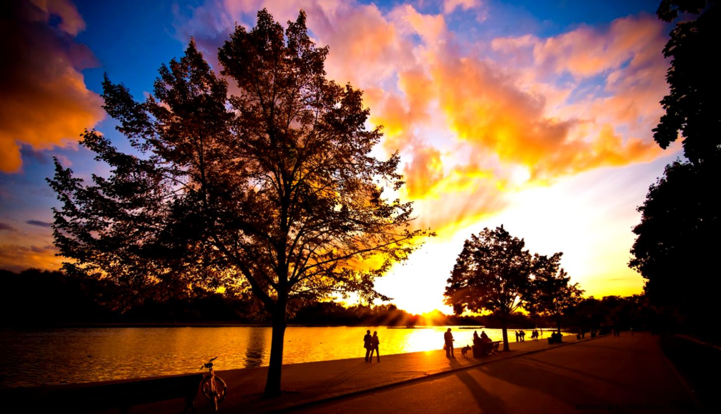 Sunset Natural Scenes