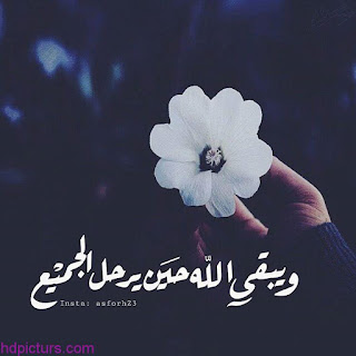 ����� ����..����� ���� ������ %D8%B5%D9%88