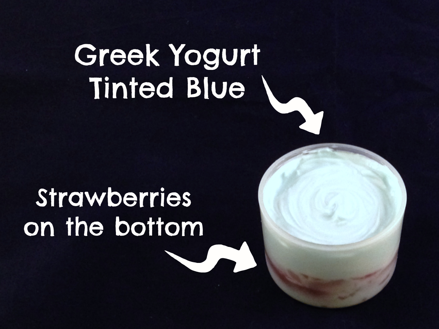 Lunchbox Dad Shark Tank Lunch