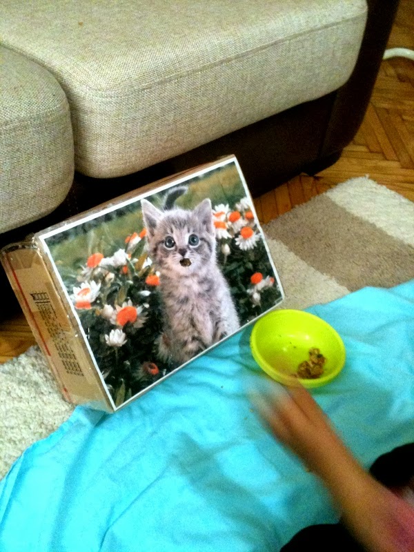 Kayra�m Büyürken&hellip; Kedi Besleme