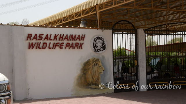 Ras Al Khaimah (UAE): Unconventioal and fun places to visit @https://colorsofourrainbow.blogspot.com/