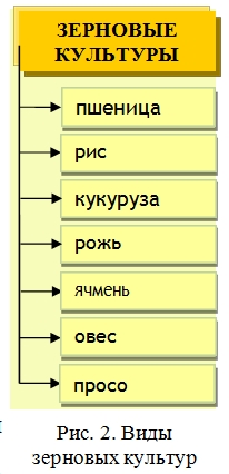 Зерновые Культуры В Беларуси Реферат