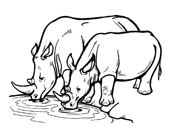 Sketsa mewarnai binatang badak Sketsa Mewarnai