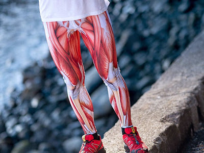 Licra para ciclismo con con anatomía de los músculos humanos impresos.