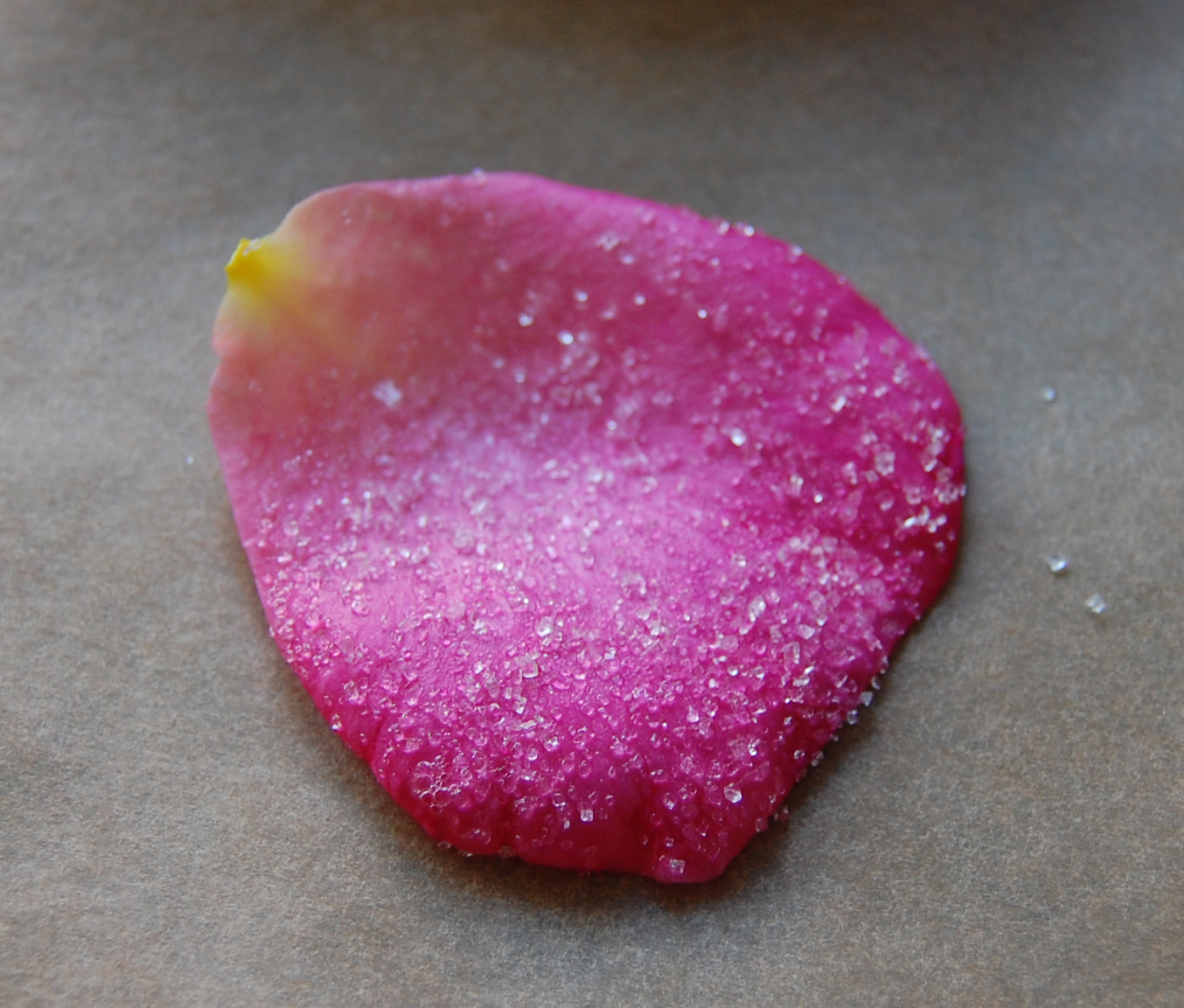 House Chic How To; Candied Flowers