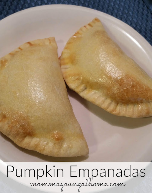 Pumpkin Empanadas Recipes