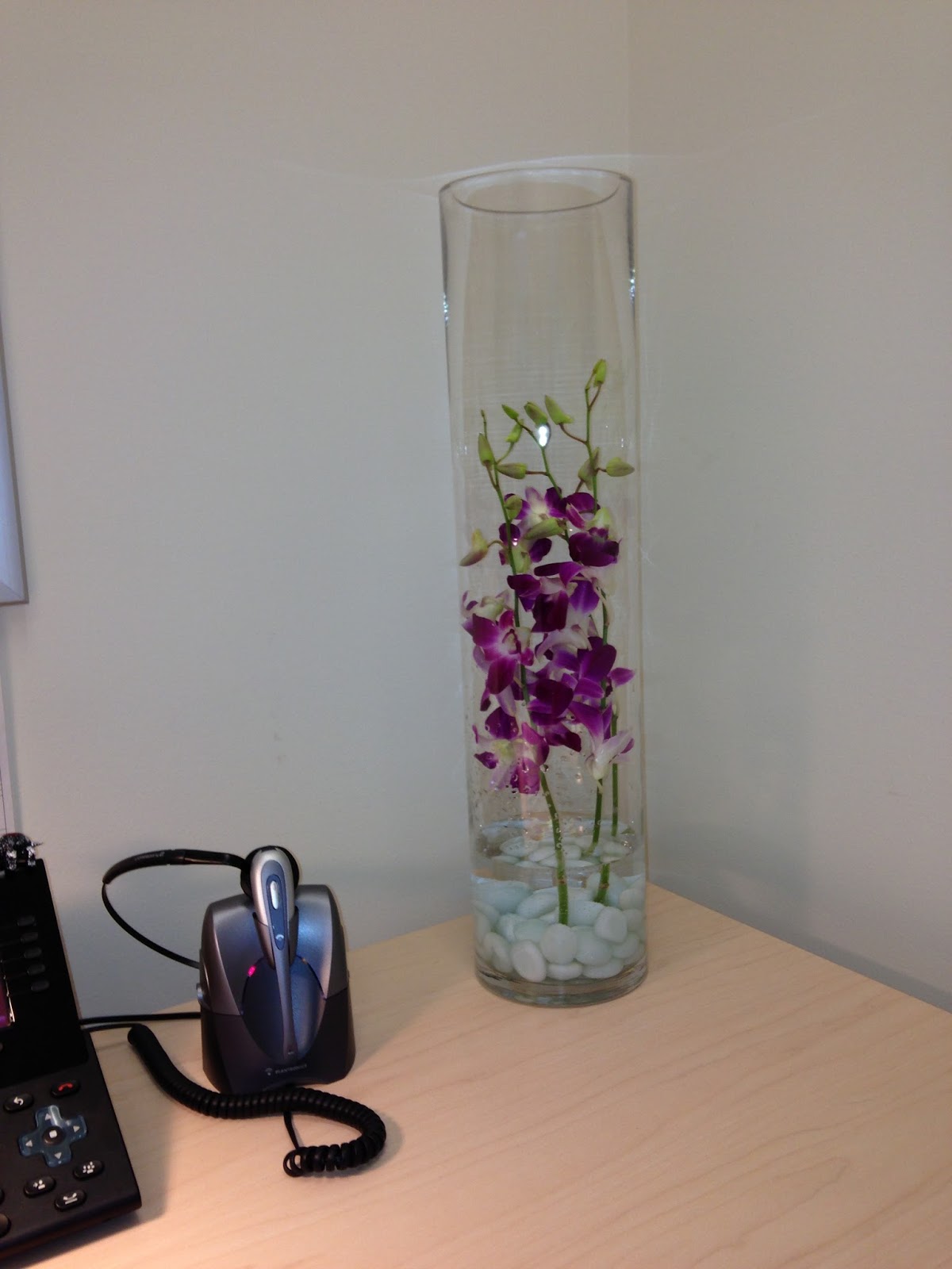 What’s Happening in the San Francisco Bay Area with Gigi and Mike