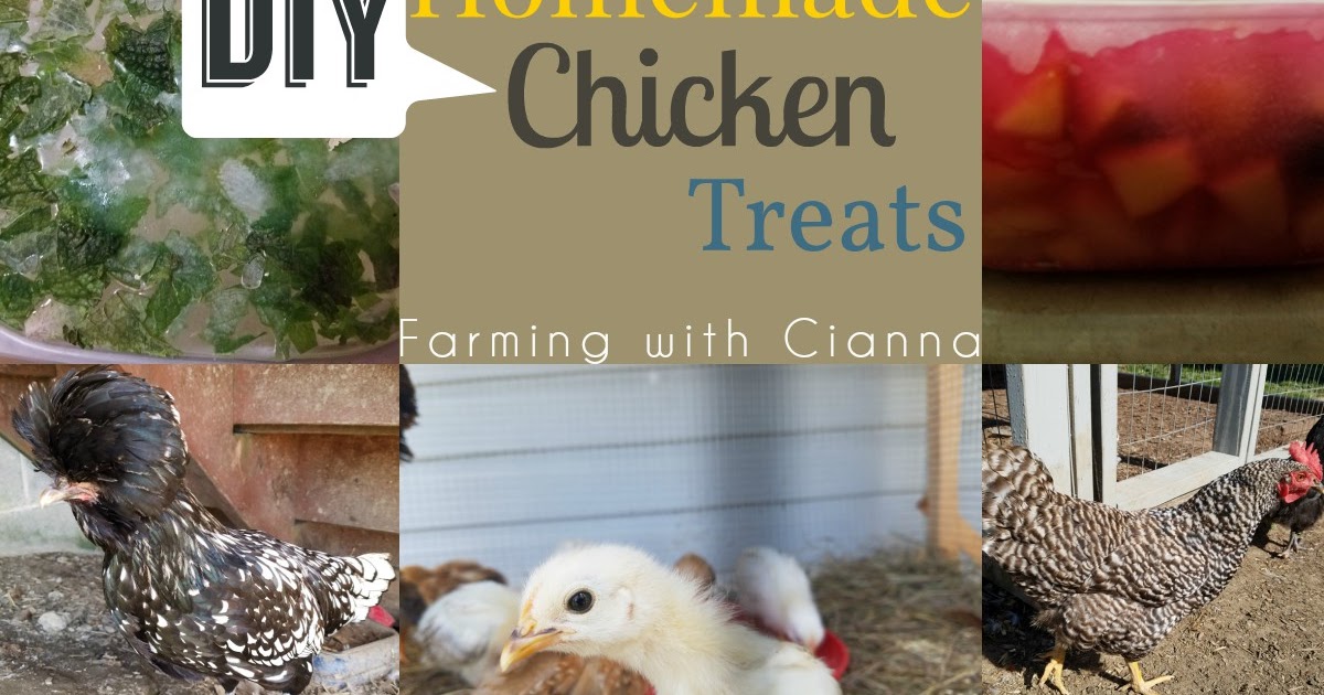 Farming With Cianna Homemade Chicken Treats