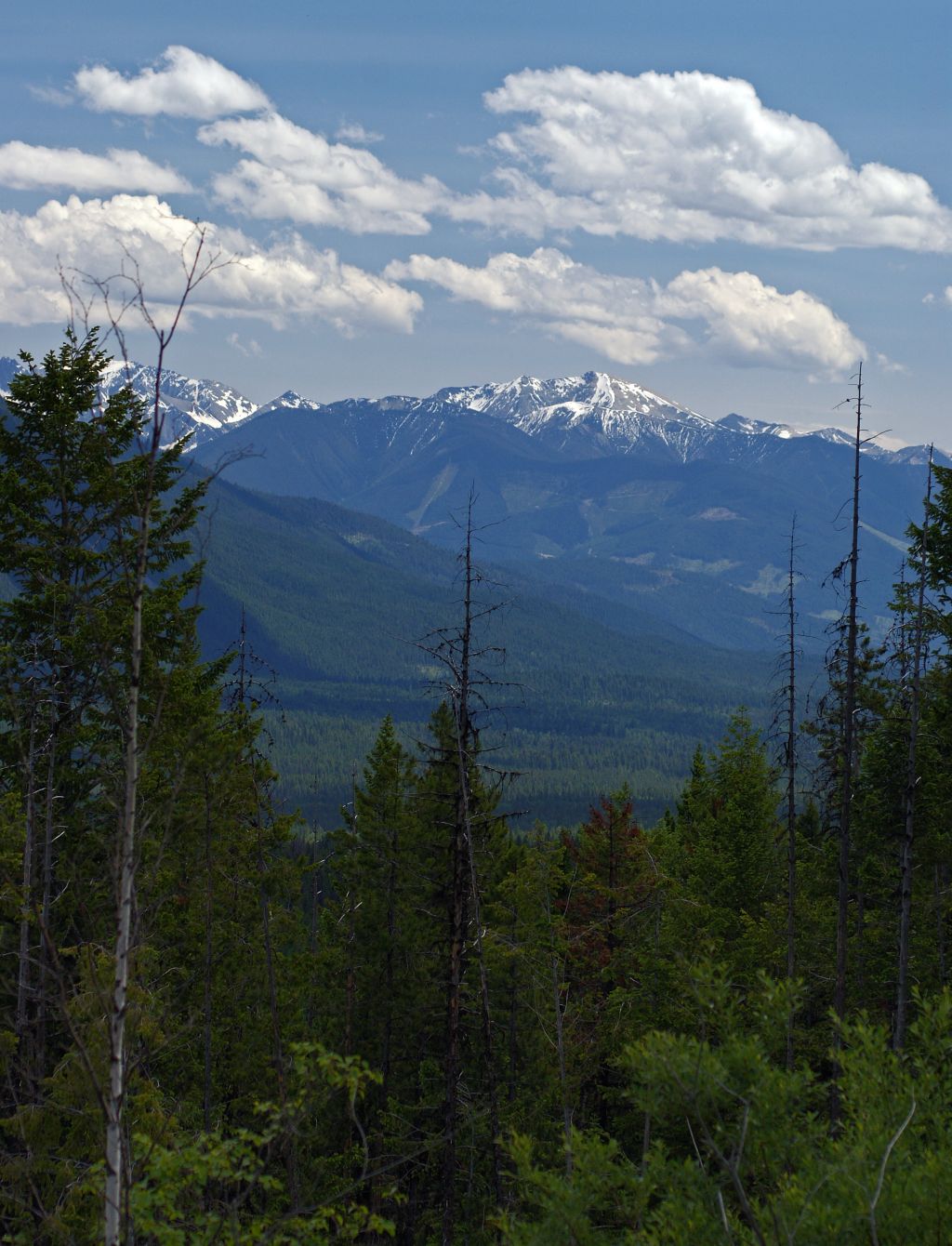 Driftless Home and Gardens: Canadian Rockies: Kootenay National Park