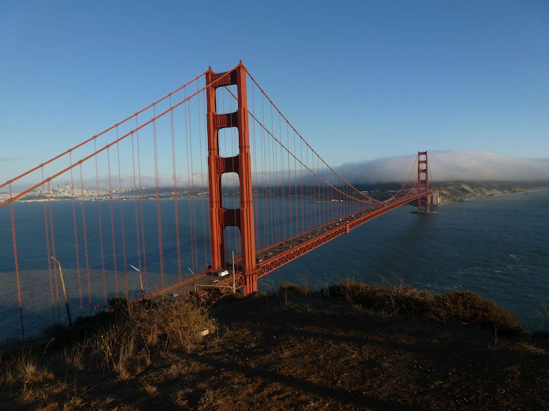 11: Muir Woods - Golden Gate - Driving me ... USA (21)