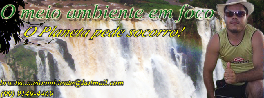 Vantuil Braz - Blog Ambiental