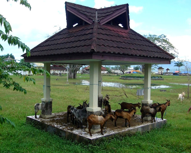 Kota Ambon, Teluk Ambon, dan “Water front city”