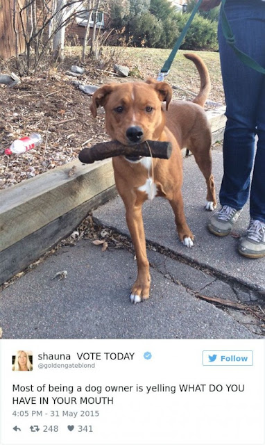 simultaneously-horrifying-funny.jpg