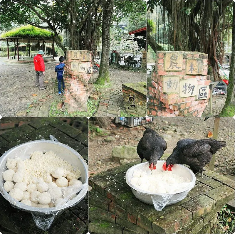 頭城農場親子採果趣