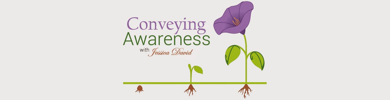 Conveying Awareness with Jessica David