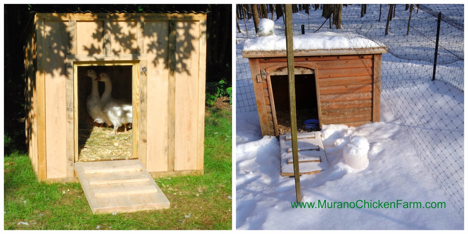Murano Chicken Farm Winter chicken coops the good, bad and ugly