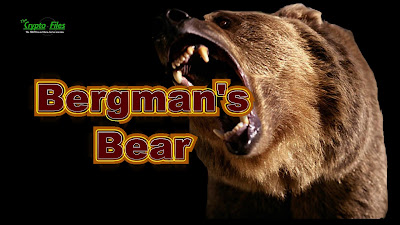 The Crypto Files Bergman's Bear The Crypto Crew