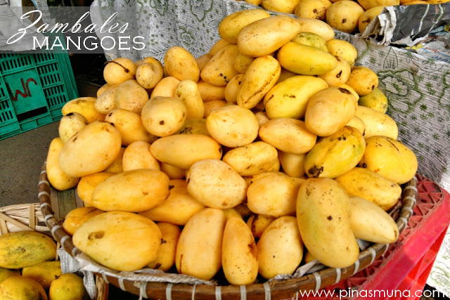 Mangoes of Zambales