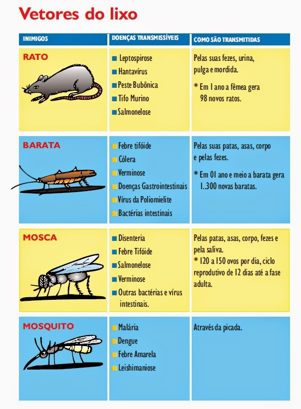 SECRETARIA MUNICIPAL DO MEIO AMBIENTE: PREJUÍZOS CAUSADOS PELO LIXO