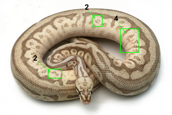 Kode Alam Minggu 11 Februari 2018 Togel Ajaib Bocoran Hk