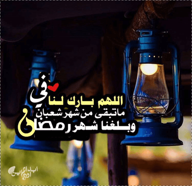 اللهم بلغنا رمضان لا فاقدين ولا مفقودين تويتر